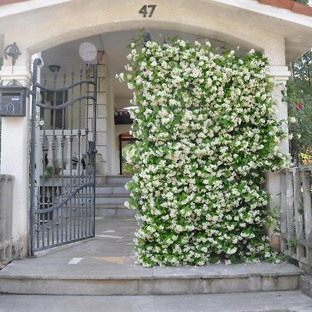 Apartmaji Stamcar Izola Exterior photo